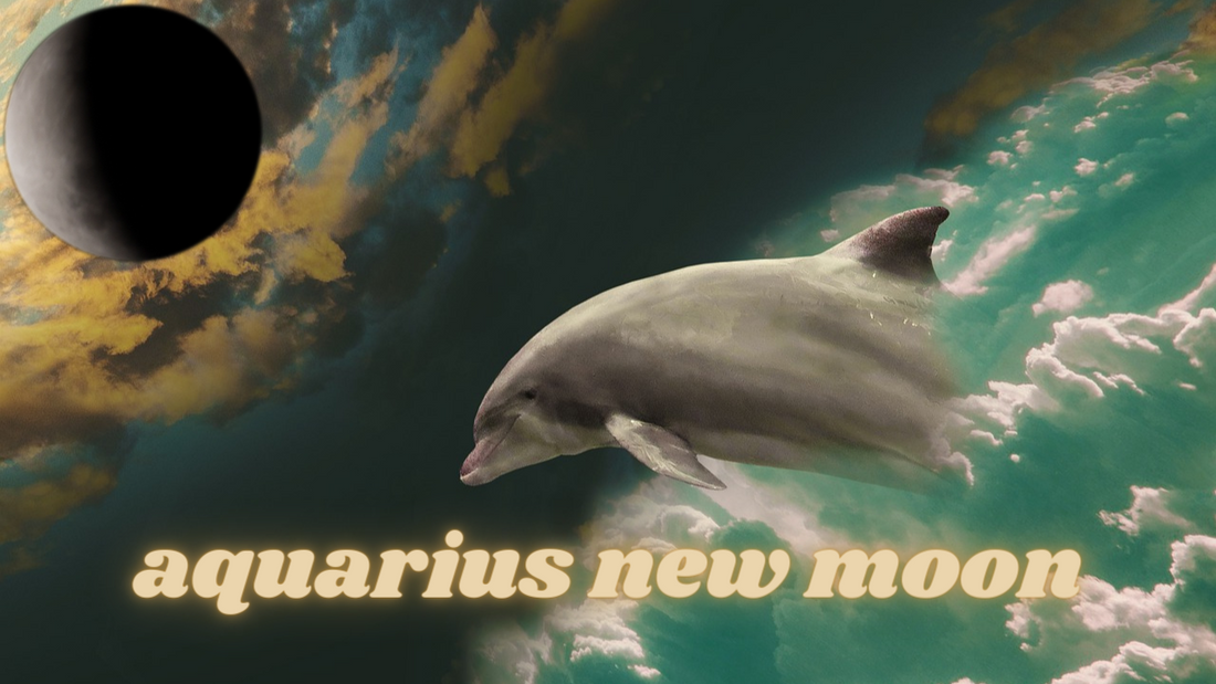 Your Horoscope for the Aquarius New Moon 2024