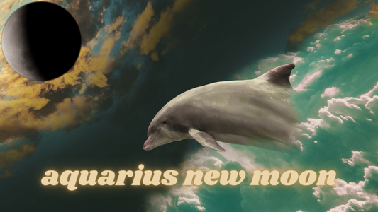 Your Horoscope for the Aquarius New Moon 2024